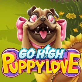 Go High Puppy Love logo by RubyPlay Betrepublic Casino